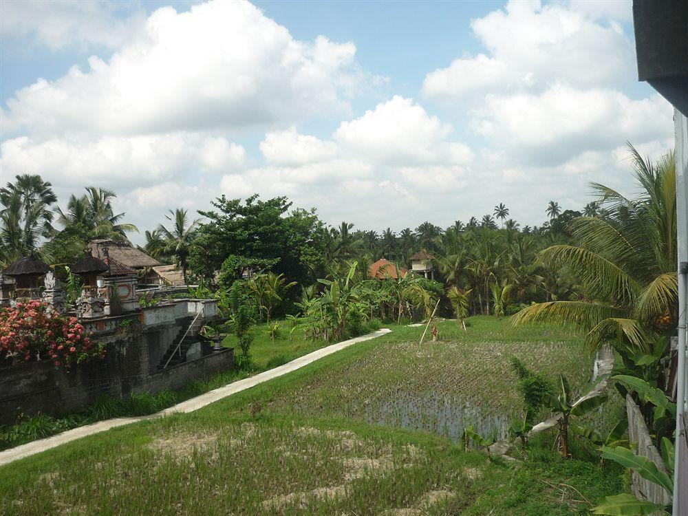 Kudos Guesthouse Ubud Exteriér fotografie